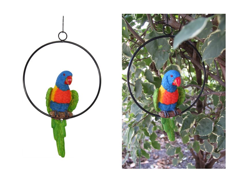 Parrot in Hanging Metal Ring